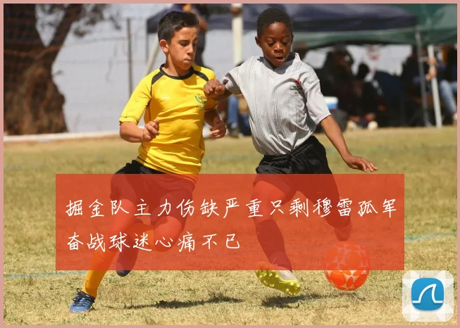 掘金队主力伤缺严重只剩穆雷孤军奋战球迷心痛不已
