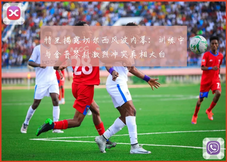 特里揭露切尔西风波内幕：训练中与舍普琴科激烈冲突真相大白