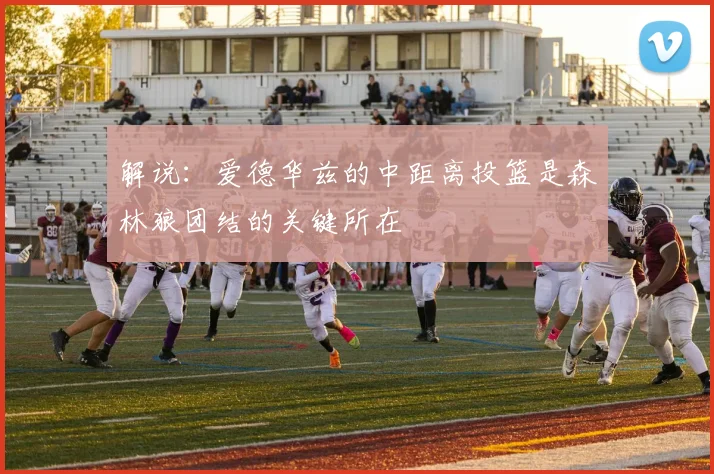 解说：爱德华兹的中距离投篮是森林狼团结的关键所在