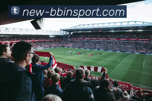 BBIN体育平台生态图